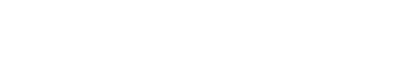 TheBlueBook
